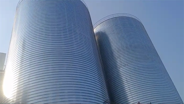 黑山2座混凝土高架卷板仓